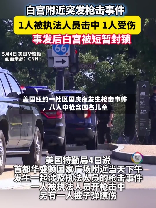 美国纽约一社区国庆夜发生枪击事件	，八人中枪含四名儿童-第3张图片