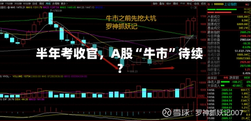 半年考收官	，A股“牛市”待续？-第1张图片