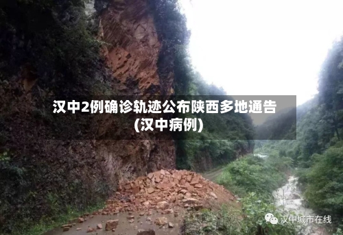 汉中2例确诊轨迹公布陕西多地通告(汉中病例)-第2张图片