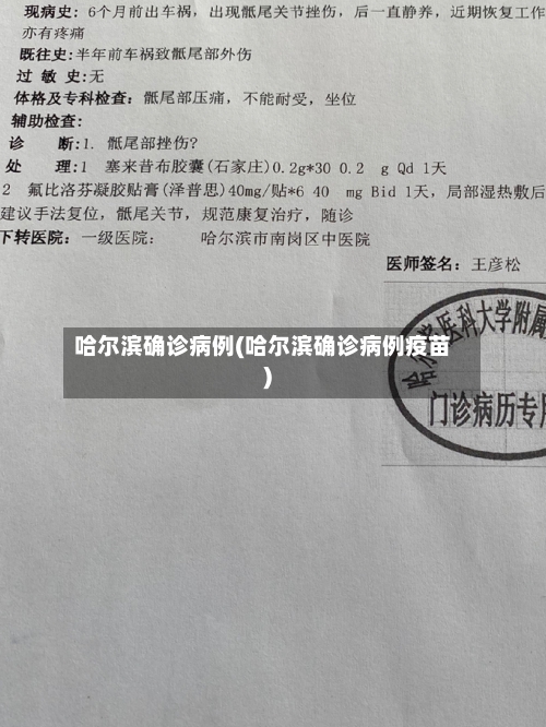 哈尔滨确诊病例(哈尔滨确诊病例疫苗)-第3张图片