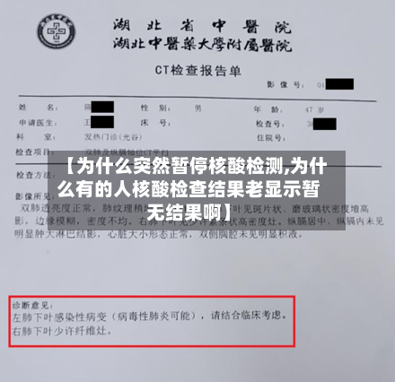 【为什么突然暂停核酸检测,为什么有的人核酸检查结果老显示暂无结果啊】-第2张图片