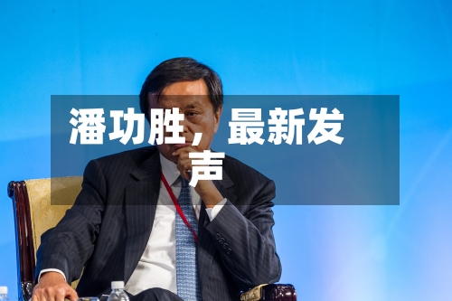 潘功胜，最新发声-第2张图片