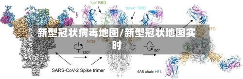 新型冠状病毒地图/新型冠状地图实时