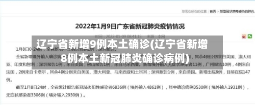 辽宁省新增9例本土确诊(辽宁省新增8例本土新冠肺炎确诊病例)