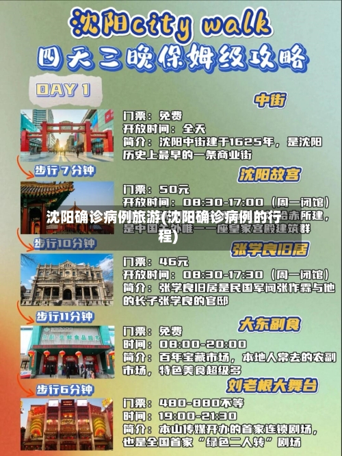 沈阳确诊病例旅游(沈阳确诊病例的行程)