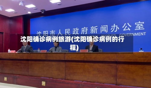 沈阳确诊病例旅游(沈阳确诊病例的行程)-第2张图片