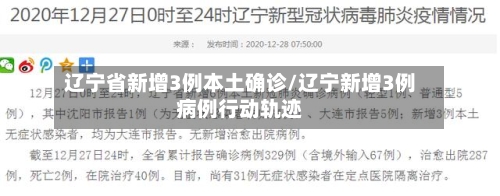 辽宁省新增3例本土确诊/辽宁新增3例病例行动轨迹-第2张图片