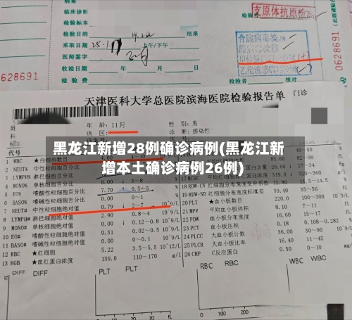 黑龙江新增28例确诊病例(黑龙江新增本土确诊病例26例)