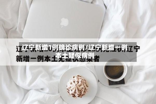 辽宁新增1例确诊病例/辽宁新增一例本土疑似病例-第2张图片