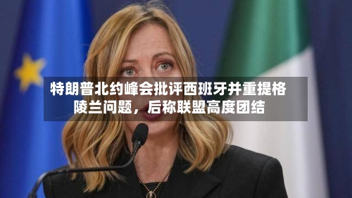 特朗普北约峰会批评西班牙并重提格陵兰问题	，后称联盟高度团结-第3张图片