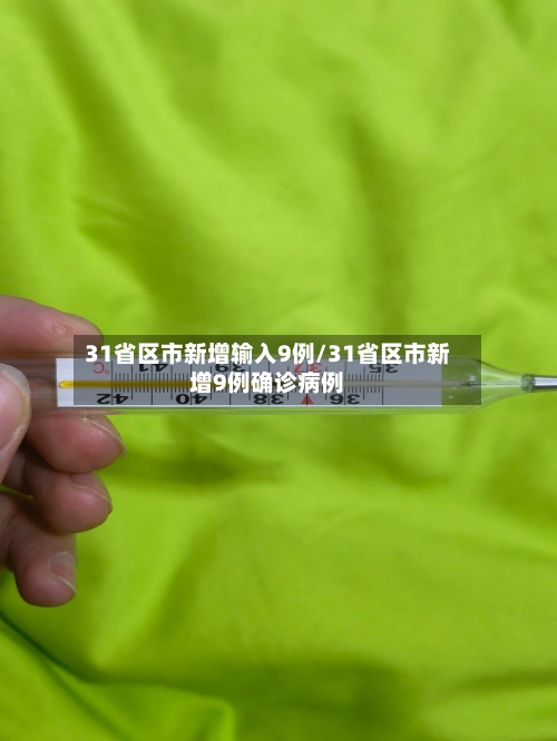 31省区市新增输入9例/31省区市新增9例确诊病例