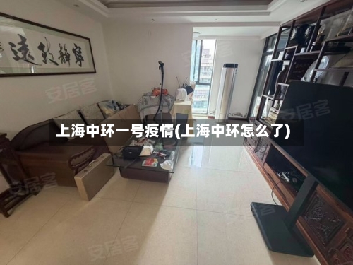 上海中环一号疫情(上海中环怎么了)