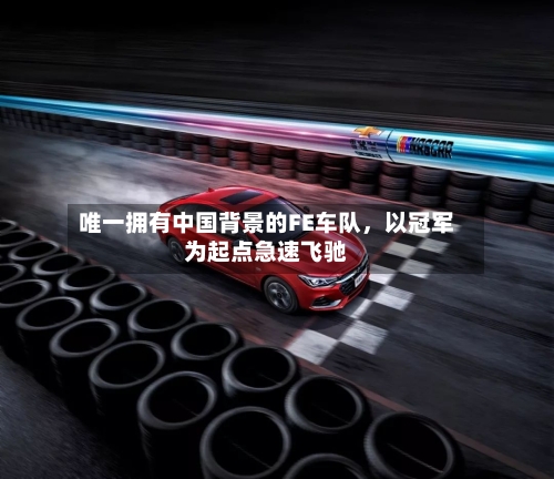 唯一拥有中国背景的FE车队，以冠军为起点急速飞驰-第2张图片