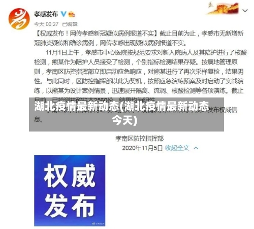 湖北疫情最新动态(湖北疫情最新动态今天)-第2张图片