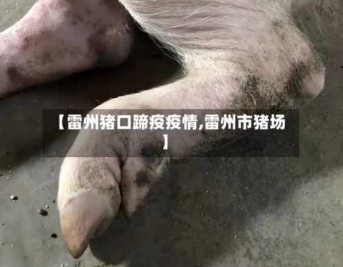 【雷州猪口蹄疫疫情,雷州市猪场】-第3张图片