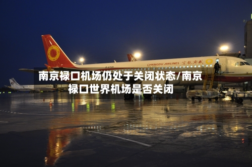 南京禄口机场仍处于关闭状态/南京禄口世界机场是否关闭