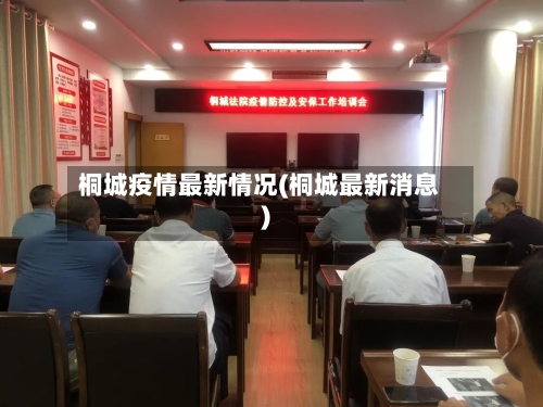 桐城疫情最新情况(桐城最新消息)
