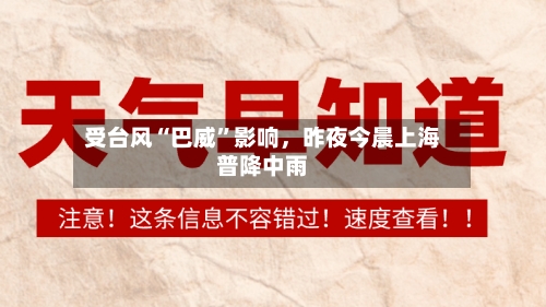 受台风“巴威”影响，昨夜今晨上海普降中雨-第2张图片
