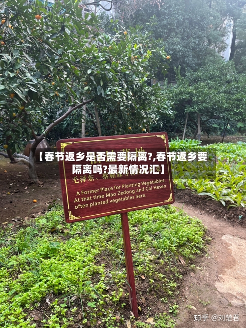 【春节返乡是否需要隔离?,春节返乡要隔离吗?最新情况汇】-第2张图片