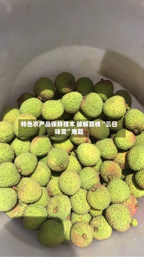 特色农产品保鲜技术 破解荔枝“三日味变”难题-第3张图片