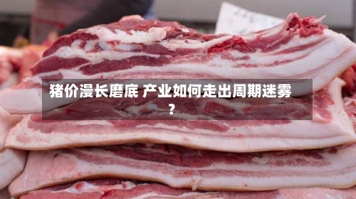 猪价漫长磨底 产业如何走出周期迷雾？-第2张图片