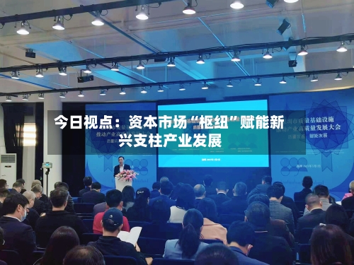 今日视点：资本市场“枢纽”赋能新兴支柱产业发展-第2张图片