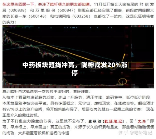 中药板块短线冲高，陇神戎发20%涨停-第2张图片