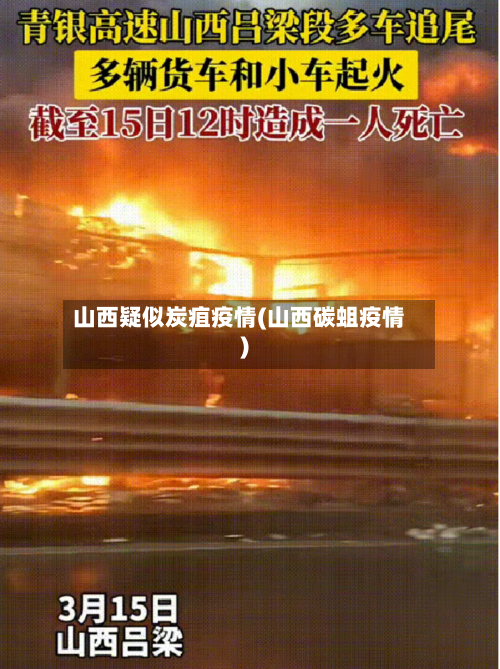 山西疑似炭疽疫情(山西碳蛆疫情)-第2张图片