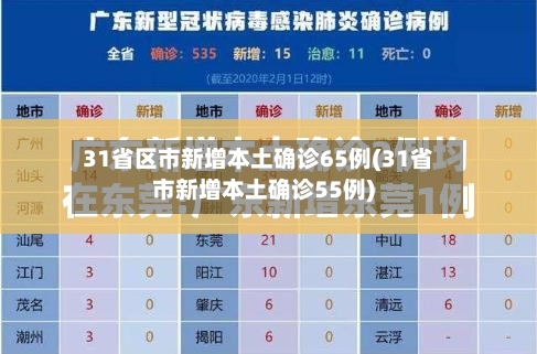 31省区市新增本土确诊65例(31省市新增本土确诊55例)