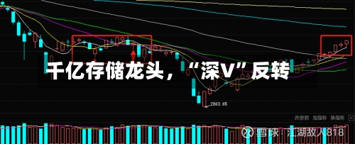 千亿存储龙头，“深V”反转-第3张图片