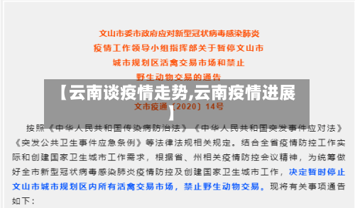 【云南谈疫情走势,云南疫情进展】