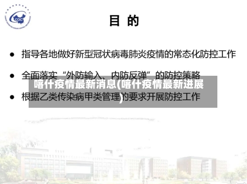 喀什疫情最新消息(喀什疫情最新进展)-第3张图片