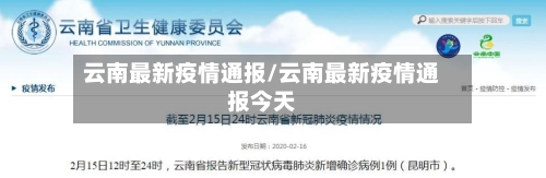 云南最新疫情通报/云南最新疫情通报今天-第3张图片