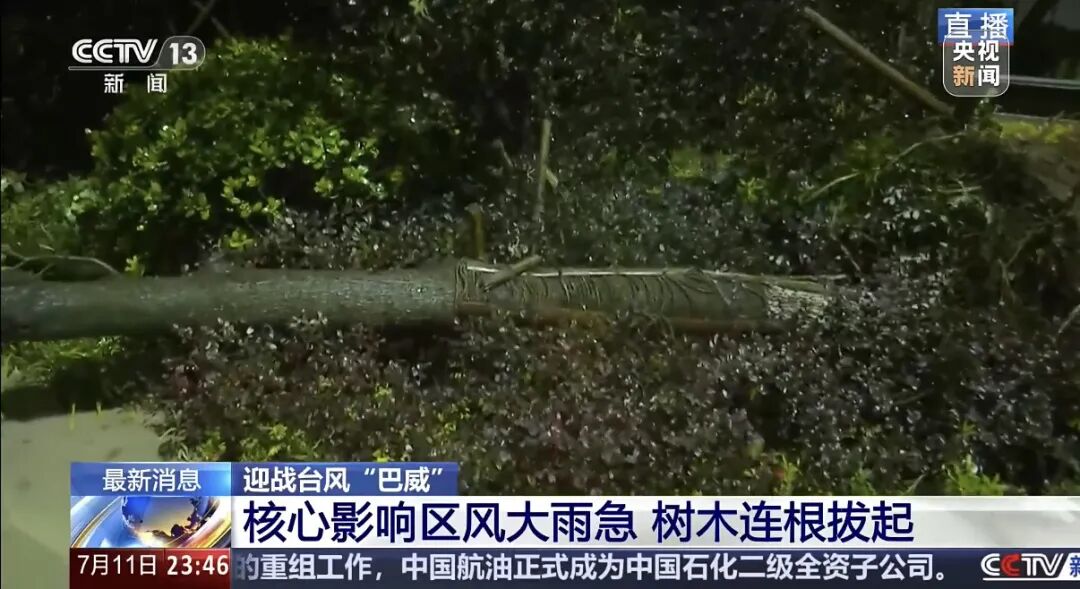 “巴威”最新路径公布！0时在浙江乐清二次登陆，5时减弱为强热带风暴，中心最大风力11级